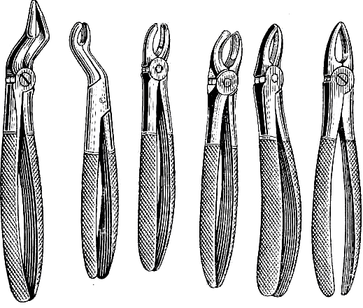 Разнообразие щипцов для зубов верхней челюсти