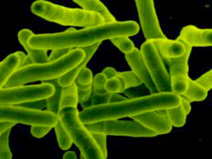 Причины и разновидности лимфаденита при туберкулезе